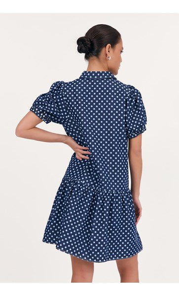 Daniela spot denim dress